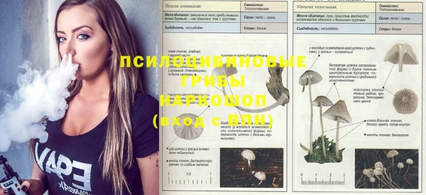 мяу мяу мука Саяногорск