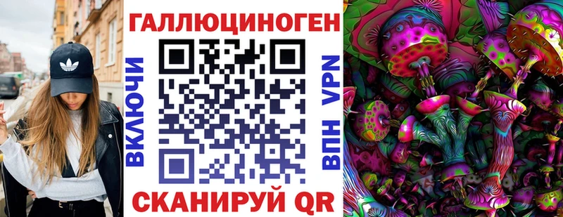 Галлюциногенные грибы Psilocybe Павловская